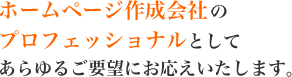 ホームページ作成会社のプロフェッショナルとしてあらゆるご要望にお応えいたします。