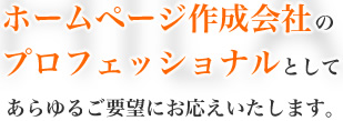 ホームページ作成は東京のヒラリアス